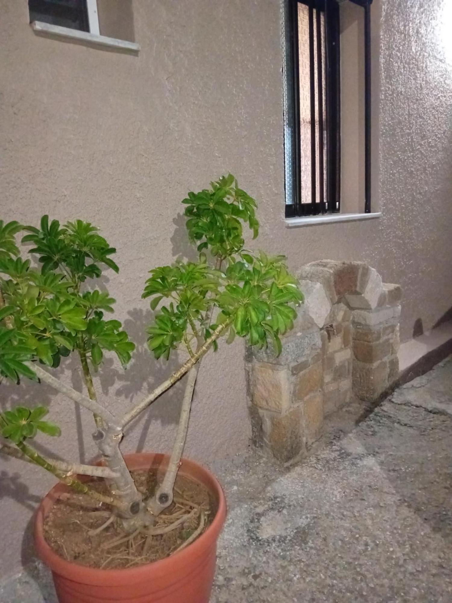 Plátanos Casa Artemis 빌라 외부 사진